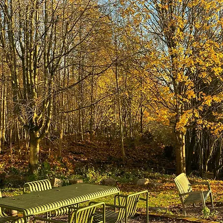 Yellow House From 1880 In Hyggen