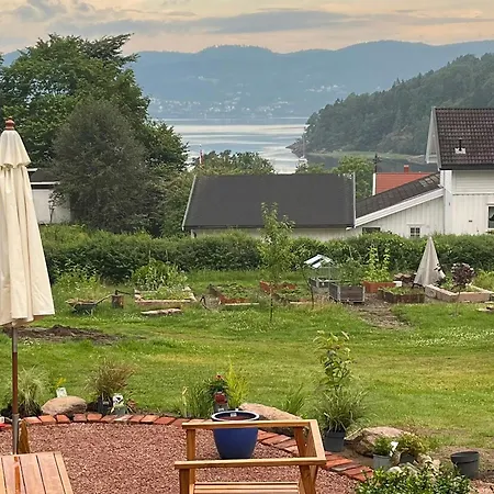 Yellow House From 1880 In *