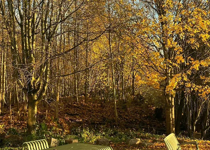 Yellow House From 1880 In Hyggen