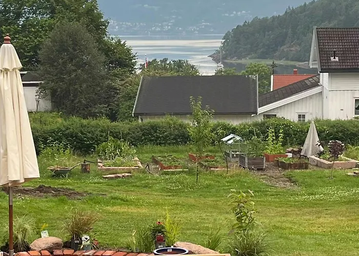Yellow House From 1880 In *